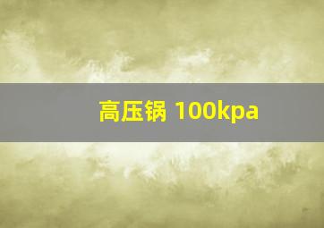 高压锅 100kpa